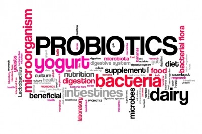 SynSynbiotec specializes in the R&D of probiotics for applications in human and animal nutrition. Pic: Getty Images/tupungato