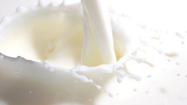 British dairy farmers 'need greater price protection': MPs