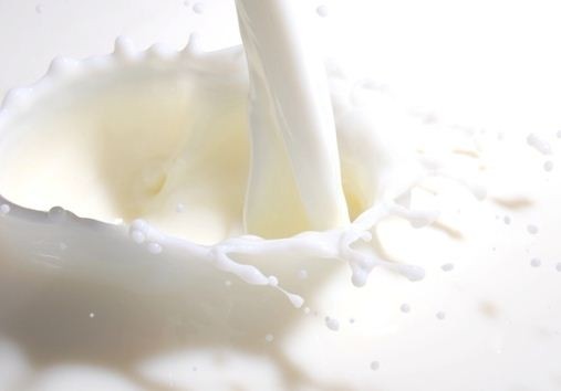 Milk digestion findings 'blueprint' for specialty dairy developments