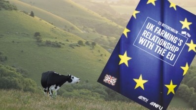 An NFU report looks at the relationship between UK farming and the EU. Photo: iStock - nelljakeman