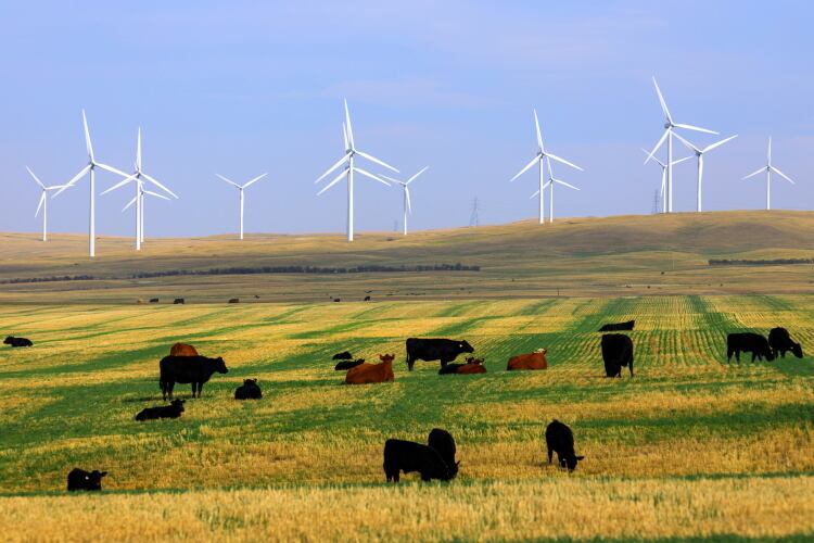 Green power: Arla to meet 100% green electricity target in Denmark