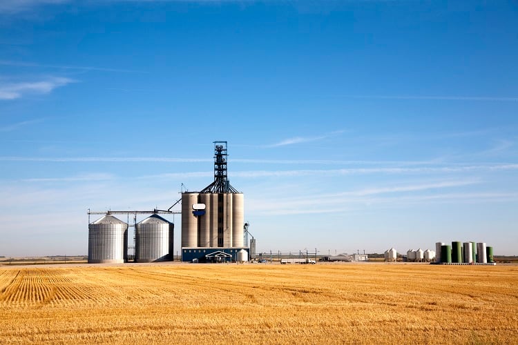 Grain giant: Viterra acquires Gavilon to gain ‘presence in every major market’
