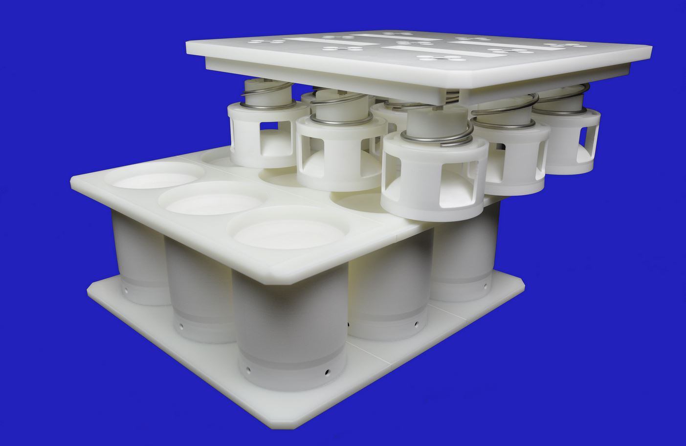 Edam-cheese-mould.jpg