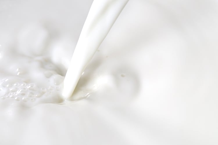 Wilk receives US patent for cell-based milk production methods