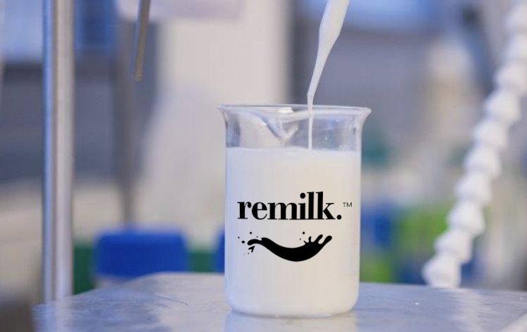 Remilk_animal-free-dairy-milk.jpg