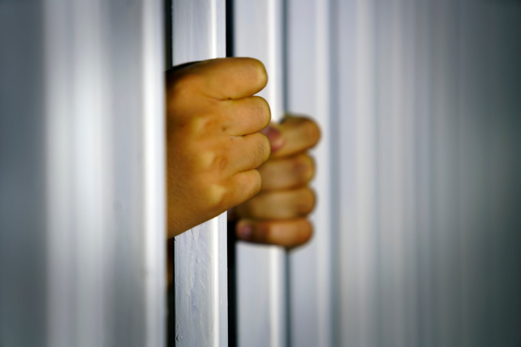 Environmental crime: Who could go to prison for EUDR breaches?