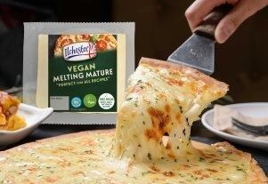 jan-22-cheeze.jpg