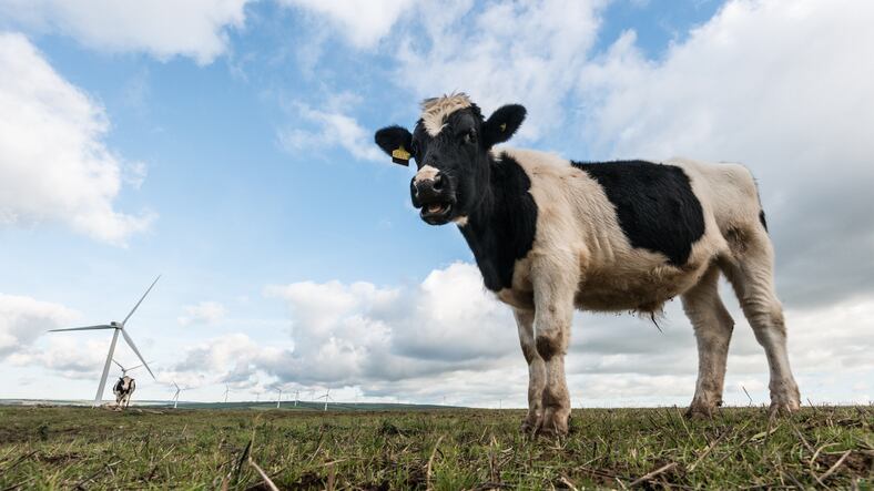 Nominations open for US Dairy Sustainability Awards
