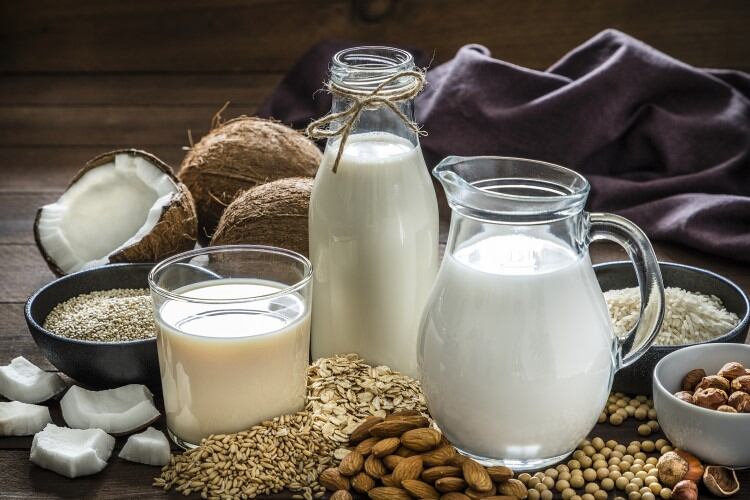 Royal DSM launches Plant Power Toolkit for fermented plant-based dairy alternatives
