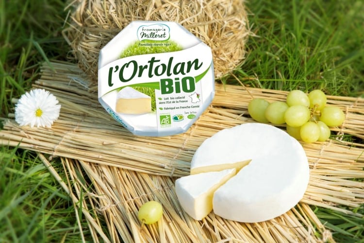 Amcor teams up with Fromagerie Milleret to release recyclable packaging for soft cheese