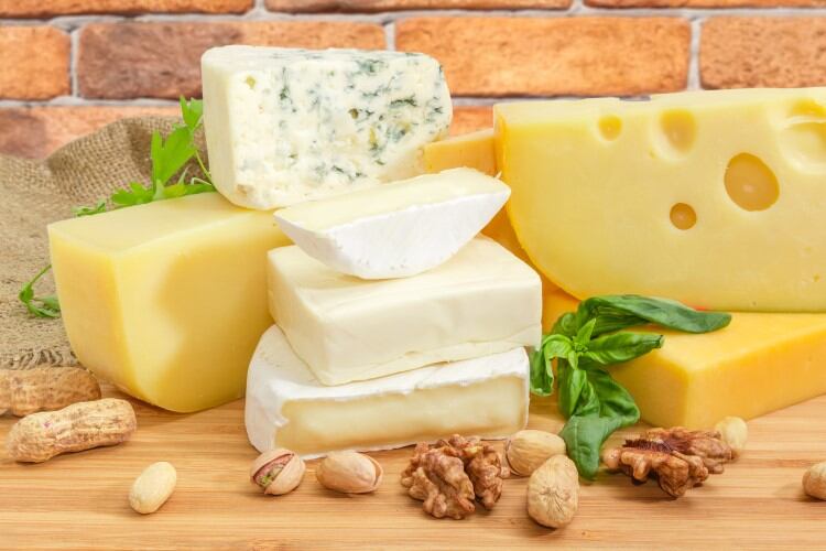 Cheese intake could lower risk of dementia, study suggests