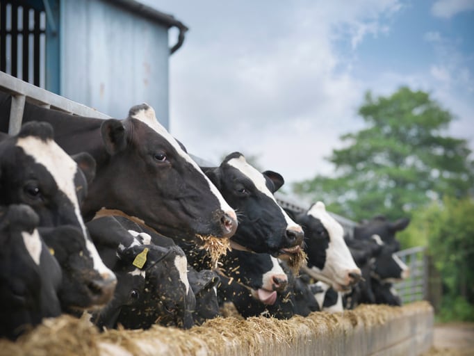 Co-op the latest UK supermarket to support greener farming