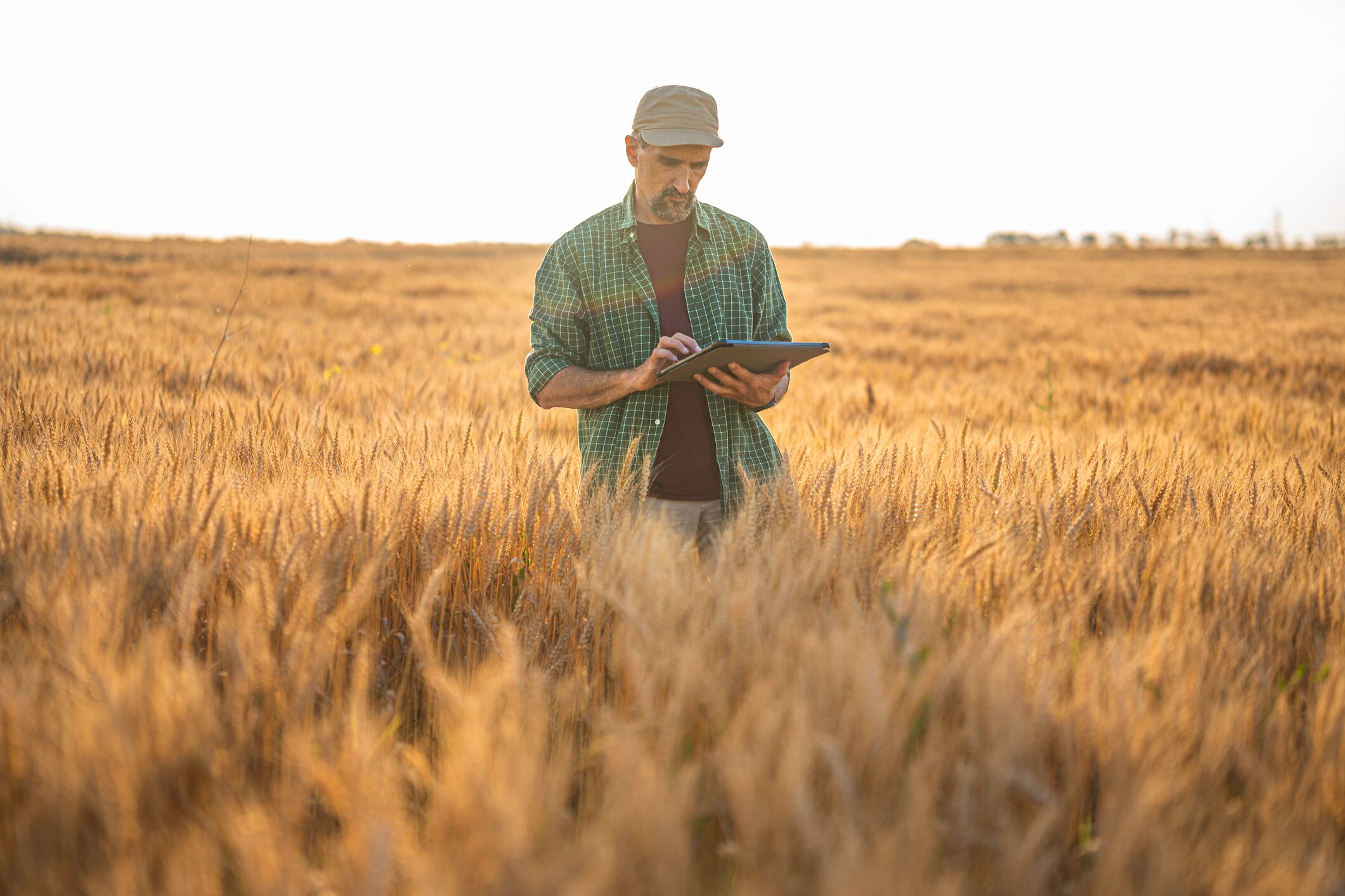 Microbial markers could speed up soil health assessments, according to research.