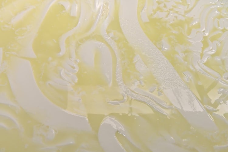 Technology based on cell programming could revolutionize dairy ...