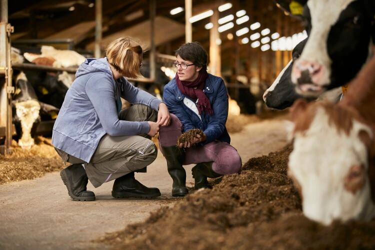 Arla farmers look to triple emissions reduction