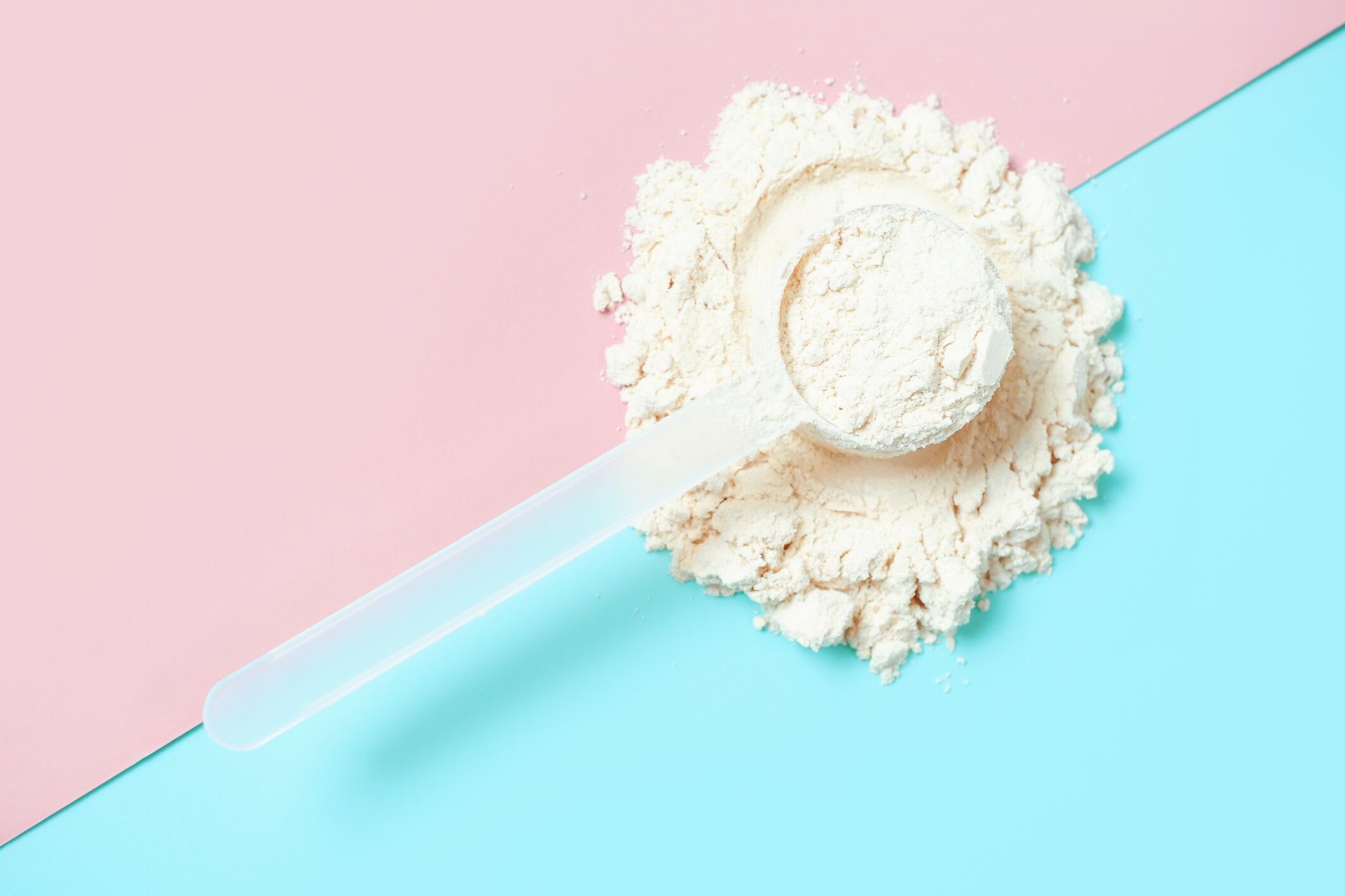 Protein powder in scoop on a blue and pink background, top view.