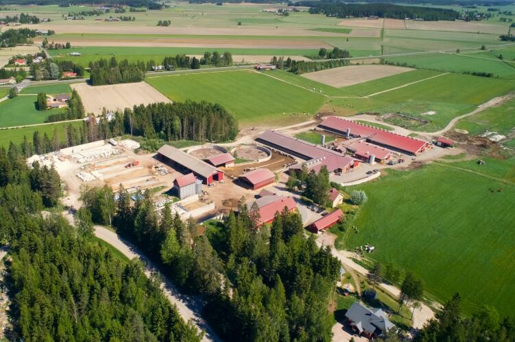Arla Finland creates AI app for animal welfare