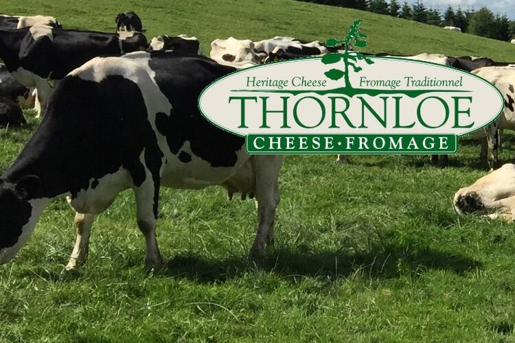 Gay Lea Foods acquires Thornloe Cheese