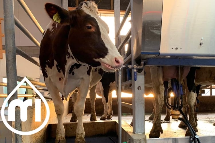 DeLaval-acquires-milkrite-InterPuls.jpg