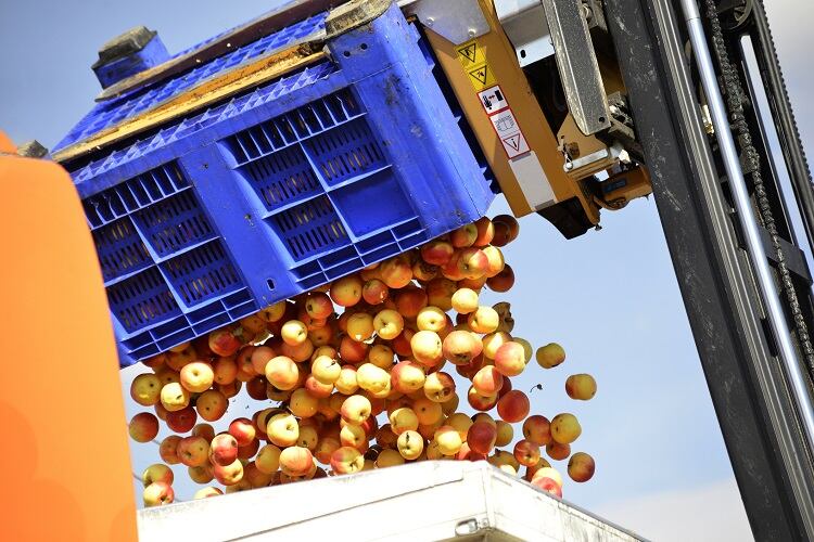 How new processing techniques have ‘great potential’ to make food more sustainable