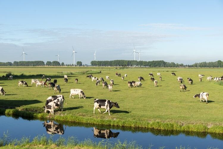 Tesco weighs in with cash program for farmers who wish to go green