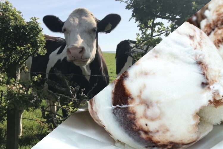 Cow to Cone: Scottish college develops math agriculture course