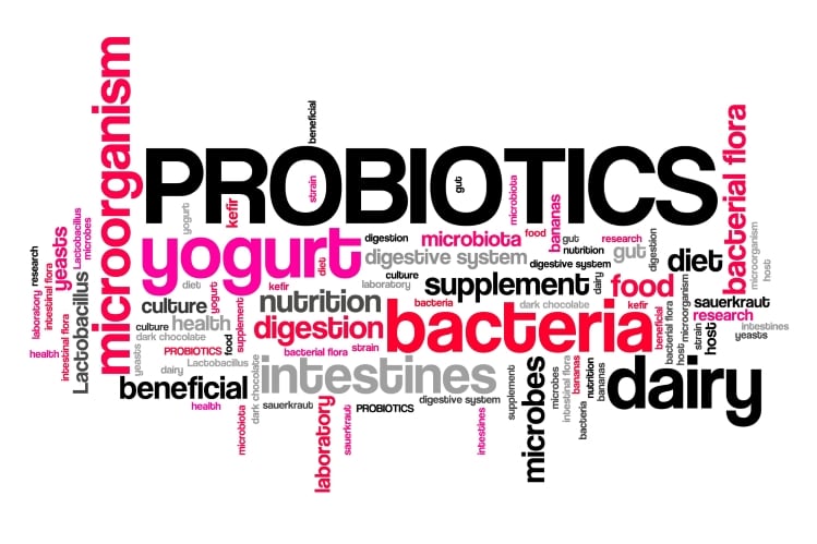 Danone North America gives out student grants for yogurt, probiotic and gut microbiome research