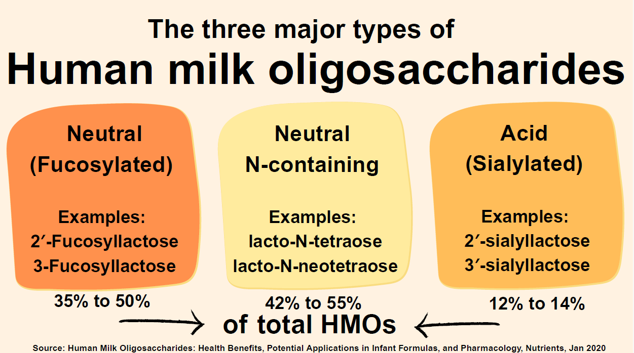 The three major types of HMOs