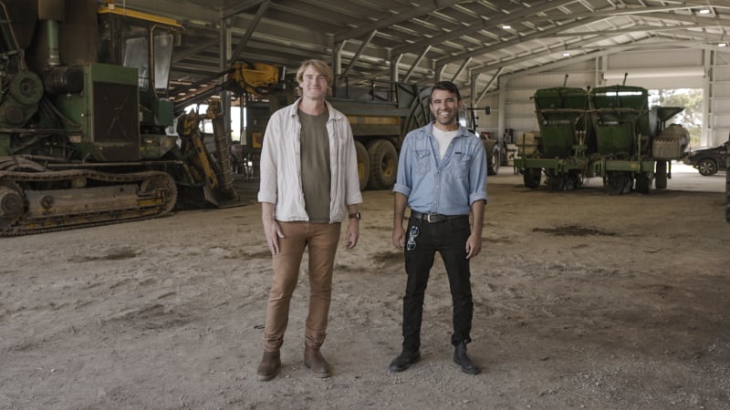 Can AI disrupt the seed giants? The start-up betting on climate-resilient crops
