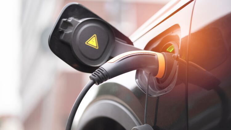 Dairy electricity: powering EVs brings 'lucrative incentives' to US farmers