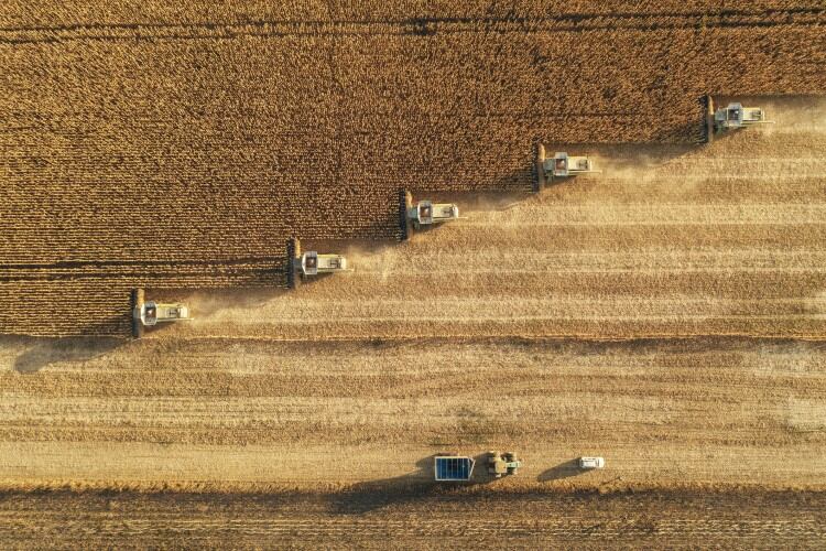 US farmer sentiment nosedives over low commodity prices