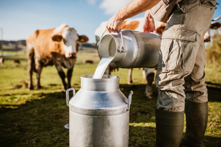 Farmgate milk prices: Are dairies facing price drops in 2023?