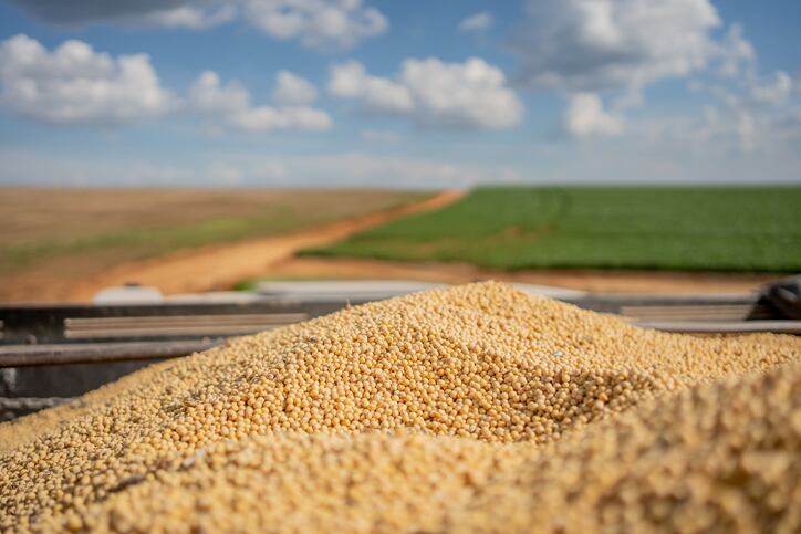 What is the USDA predicting for soy and corn supplies in its pivotal May report? 