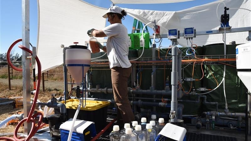 Windfall Bio converts methane into organic fertilizer.
