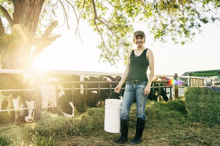 Applications open for the 2023 National Dairy Board Scholarship program
