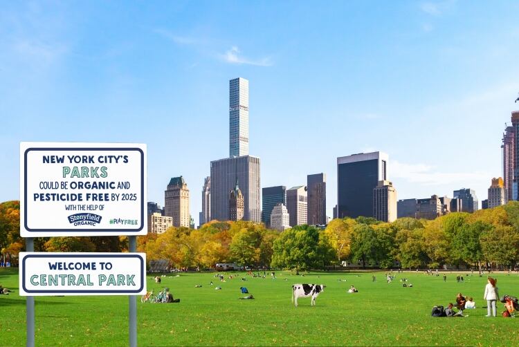 Central Park to go organic through Stonyfield program