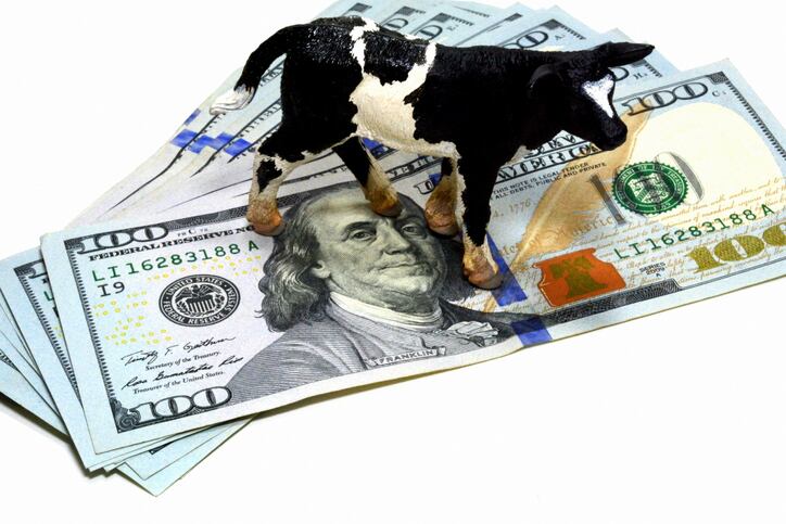 Dairy prepares for potential 2020 recession