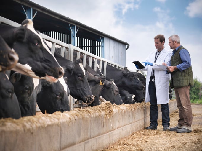Feedworks USA: Split-herd research confirms plant extract product improves milk production and feed efficiency