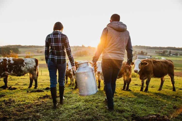 ‘Not a Big Ad: Behind Land O’Lakes’ first Super Bowl commercial