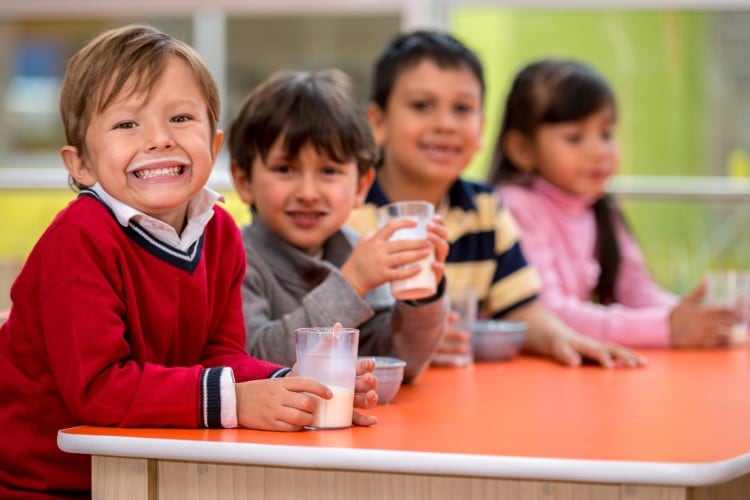 No plant-based dairy in EU schools, says the European Parliament