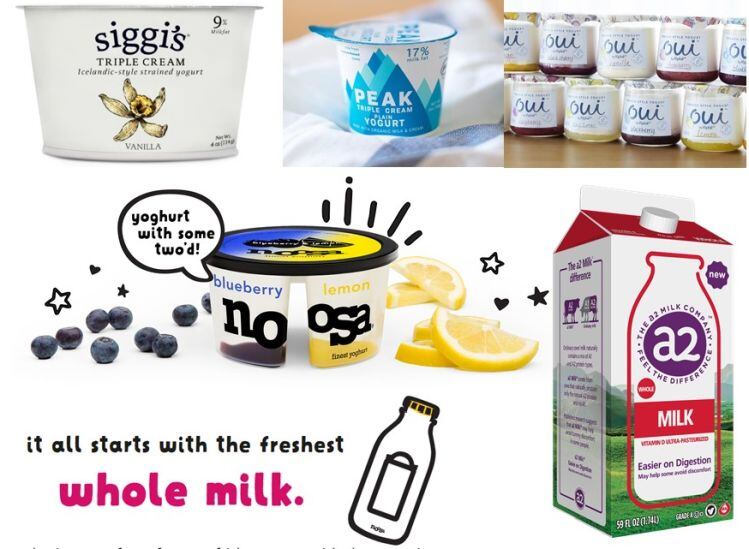 Full-fat-and-Icelandic-pockets-of-growth-in-lackluster-US-yogurt-market-while-flavored-milk-and-lactose-free-help-offset-declines-in-fluid-milk.jpg