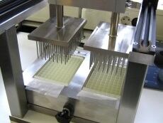 microcheese.jpg