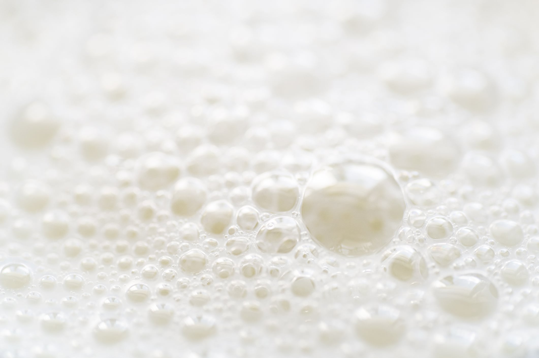 Close-up of milk with bubbles