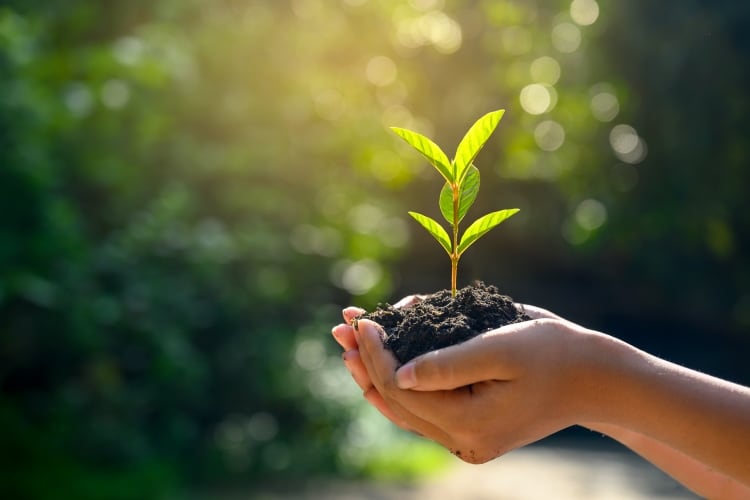 Kerry Group set to acquire Biosearch Life