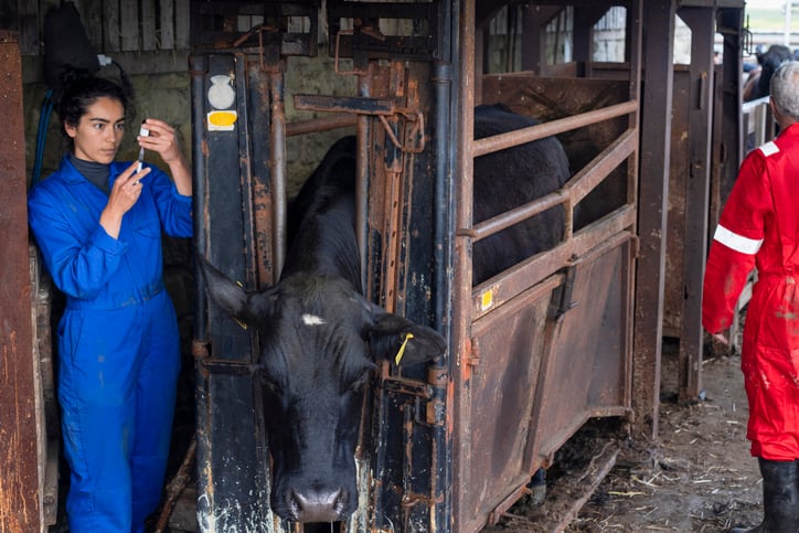 USDA encourages third-party certification for animal-raising claims after finding widespread misleading negative antibiotics claims in cattle