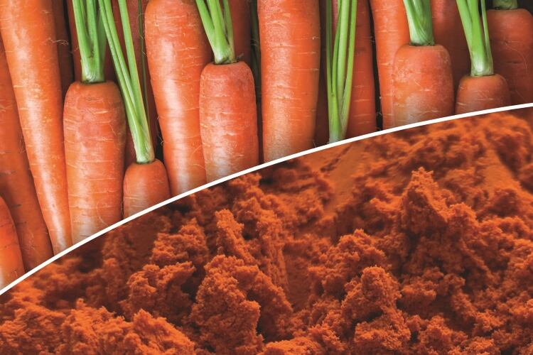 Divi’s Nutraceuticals launches CaroNat natural food and beverage color