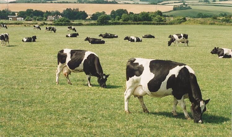 Fonterra ‘in great shape’ as net profits jump in half-year update