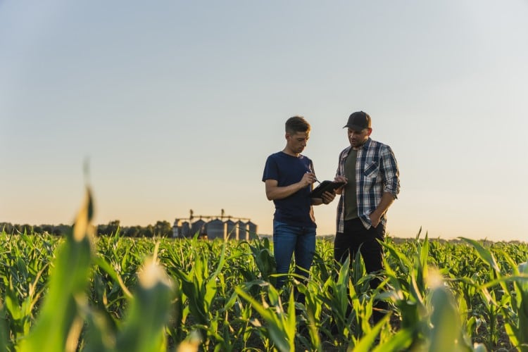 US farmer sentiment weakest since COVID-19 pandemic