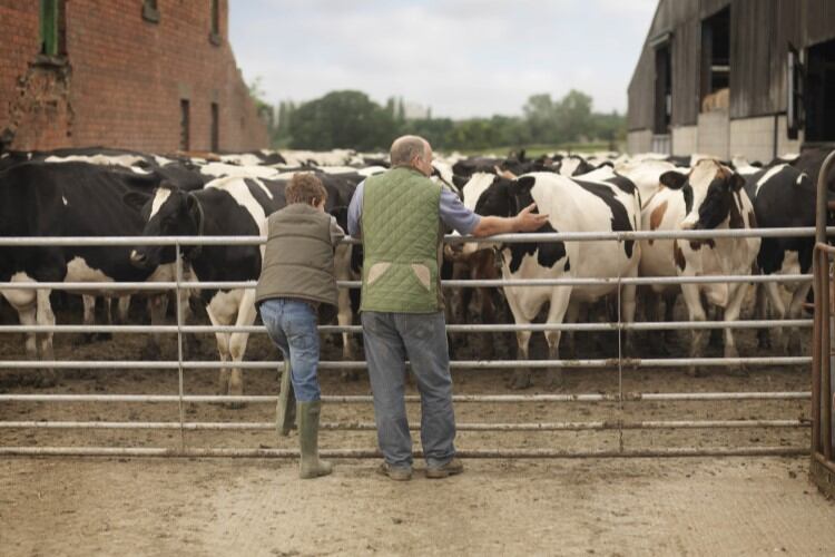 ‘Unsustainable’: IFA dairy chair warns against further cuts as Kerry, Lakeland slash prices