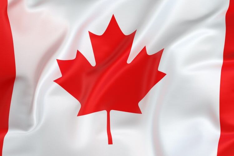 Methane suppressing feed additive Bovaer approved for use in Canada